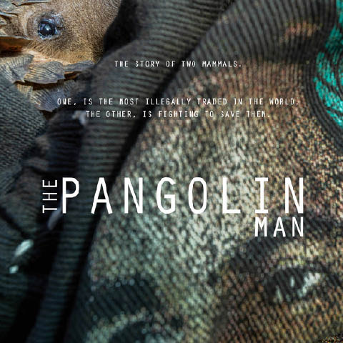 The Pangolin Man